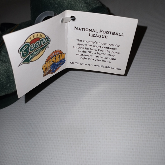 Forever Green Bay Packers Football Teddy Bear - Picture 3 of 6